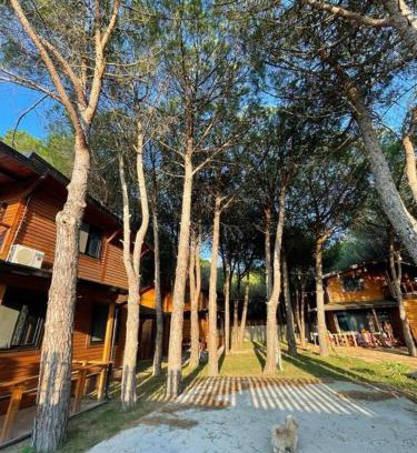 Velipoje Apartment | Mikpritja Velipojë 1