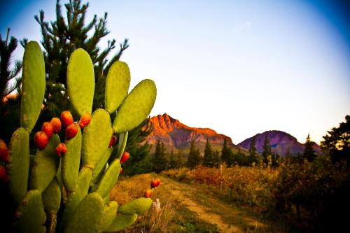 Paarl Apartment | Modderkloof Farm Accommodation
