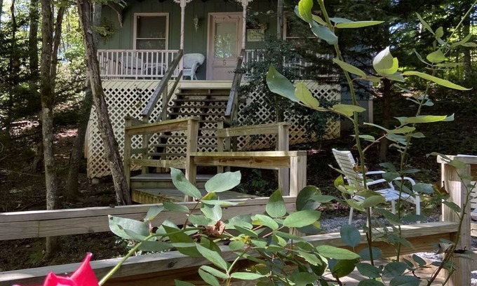 Blairsville Cottage | Mountain Rose Cabin - Fido Friendly Mountain Escape near Helen, & Blue Ridge