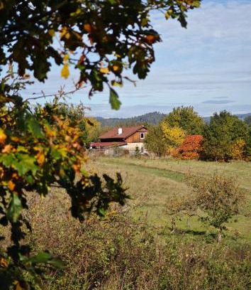 Nepomuk House | Na Samotě u tratě