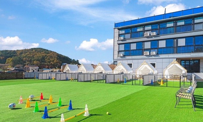Namhae House | Namhae Dangdangi Dog Pension Blue