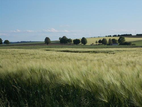 Uslar Apartment | Natur und Ruhe - für Ruhe suchenden