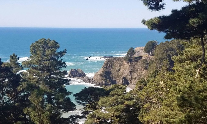 Albion House | NEW! Experience the awe-inspiring views over the rugged Pacific Ocean.