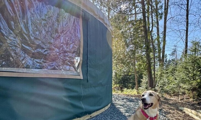 Bar Harbor RV Rental | New luxurious 24’ yurt located in Bar Harbor, Maine with access to Northeast Creek