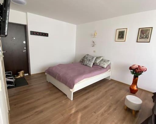 Kaunas Apartment | Nice place to stay close to city
