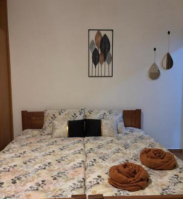 Podgorica House | Nikolaj