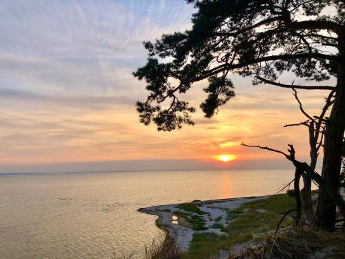 Pierwoszyno Other | Noclegi - Ośrodek na Klifie Village - Hel Helska 11