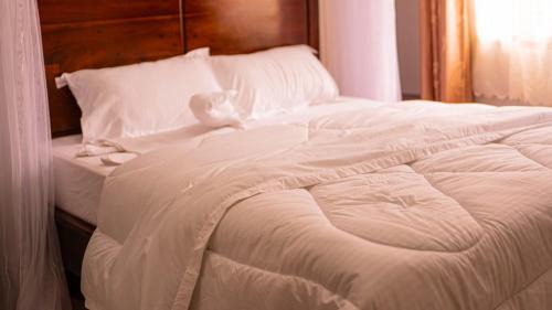 Nakaseke Bed & Breakfast | Northern Skyz Villas