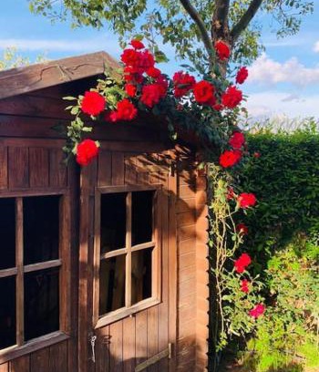Nola House | Oasi di benessere nei vostri viaggi