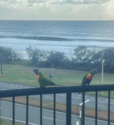 Alexandra Headland Apartment | Ocean Views - Top floor