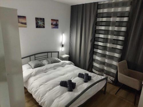 Lupeni Apartment | Olive Apartment