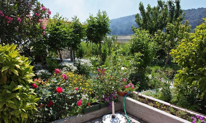 Suha Punta Apartment | One bedroom apartment with terrace and sea view Kampor, Rab (A-4972-a)