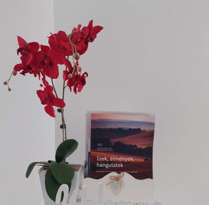 Veszprem Apartment | Orchidea Veszprém Apartman