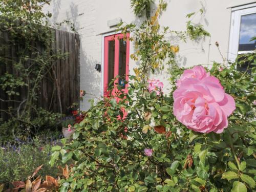 Over Apartment | Over Village Studio