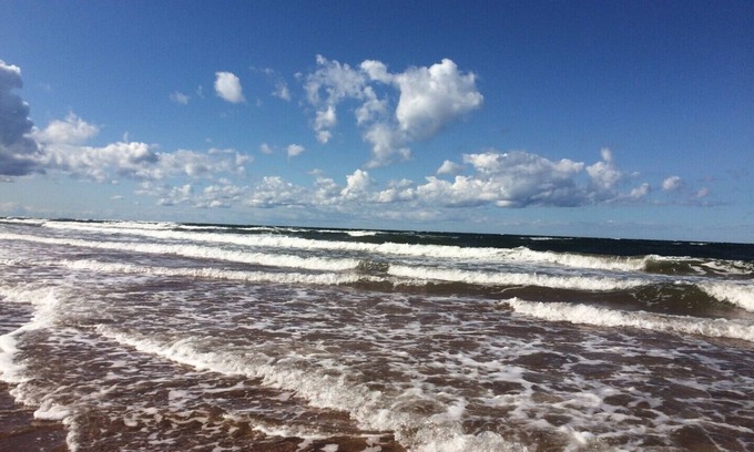 Darnley House | Oysterbay Cottage - Fun, Beach and Food! License number 2100974