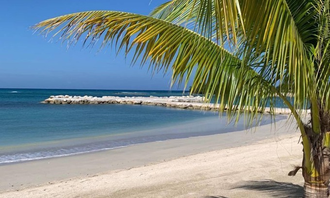 St. Ann's Bay House | Palm BlossomJA Beach