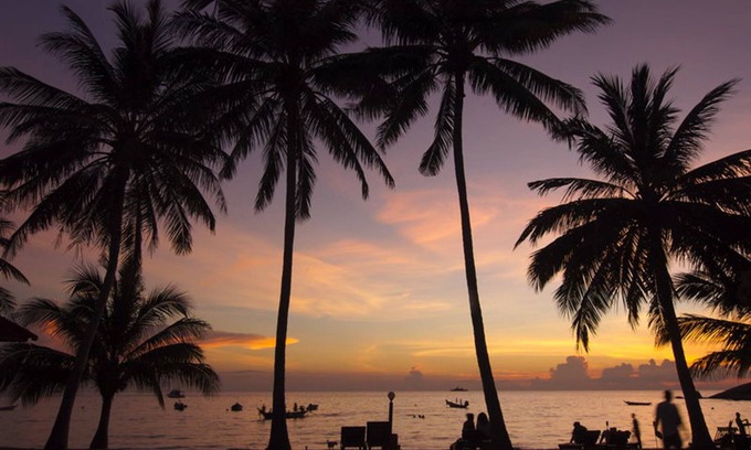Koh Tao Resort | Palm Leaf Resort