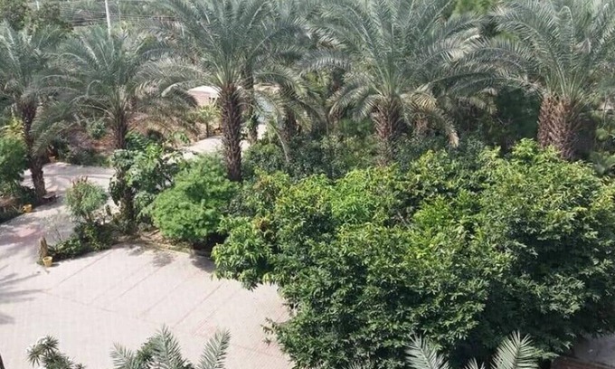 Faisalabad Hotel | Palm View Hotel
