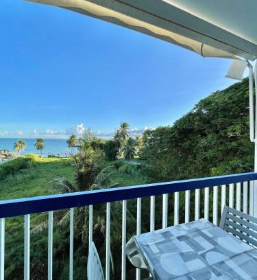 Pointe de la verdure Apartment | Pana Beach