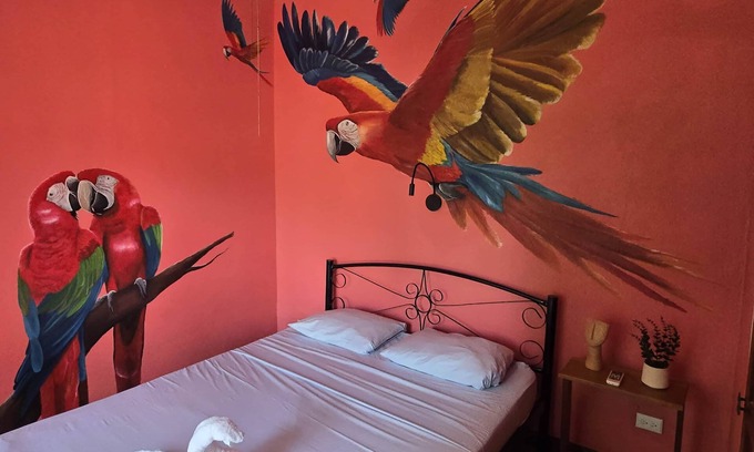 Barranca Apartment | Parrot Room at Jane's Beach Resort