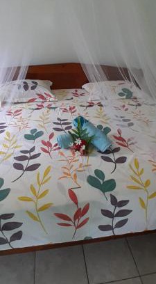 Te-Fare-Arii House | Penu Maurua 1