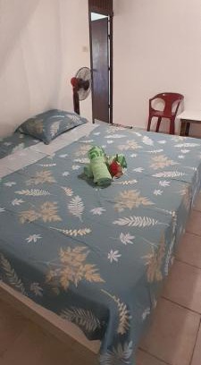 Te-Fare-Arii House | Penu Maurua 2