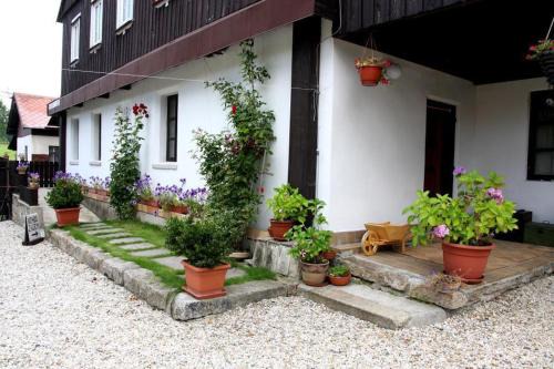 Prichovice House | Penzion D'Artagnan