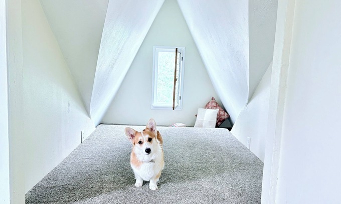 South Perry District House | Perry Pup House – Vintage Charm, Dog-Friendly, Walk to Cafés/Brewery