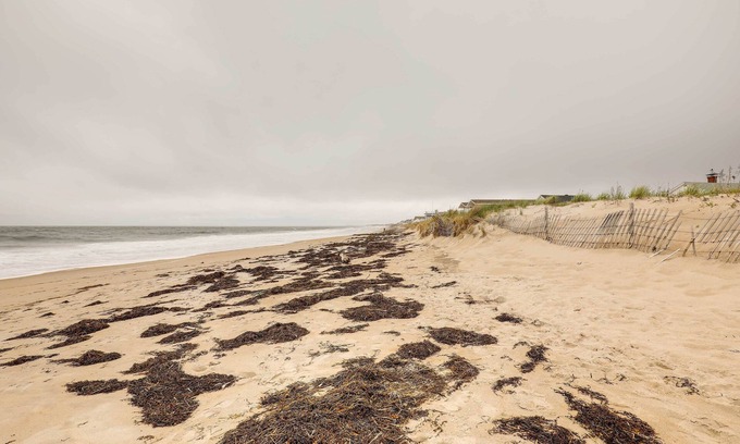 Salisbury Cottage | Pet-Friendly Vacation Rental in the Salisbury Area