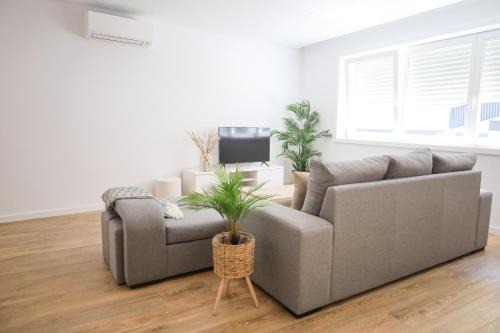 Ponte de Lima Apartment | Pinheiro Guest House
