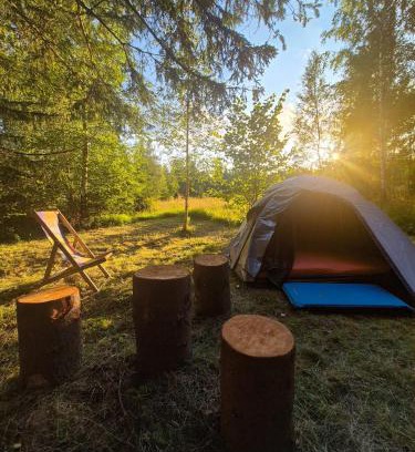 Stola Other | Pod smrekom