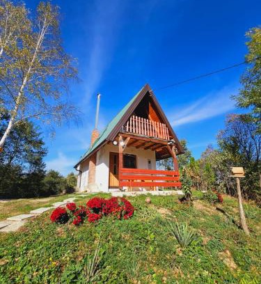 Visoko House | Positive energy