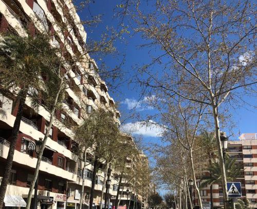 Gandia Hostel | Preciosa en GANDIA a 5 min del centro histórico