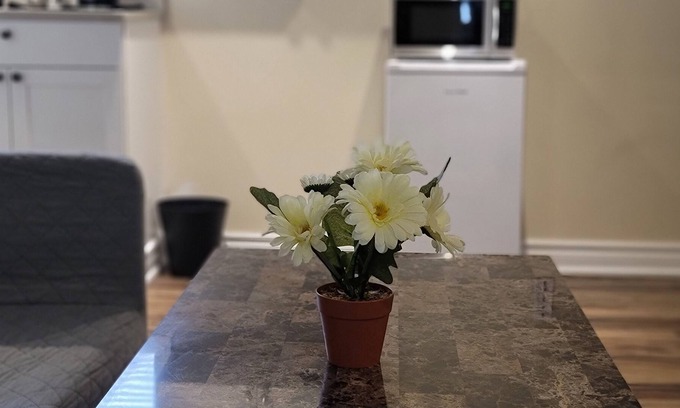Ajax Apartment | Private Newly Renovated Basement 1 BR Apartment