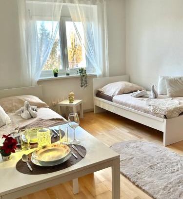 Schwechat Apartment | Quiet Apartment near Airport Vienna #2