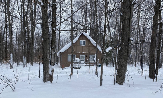 Elmira Cabin | Quiet Romantic Cabin - Pet Friendly
