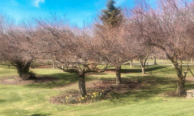Lower Shotover House | Quiet & Secluded in Quail Rise