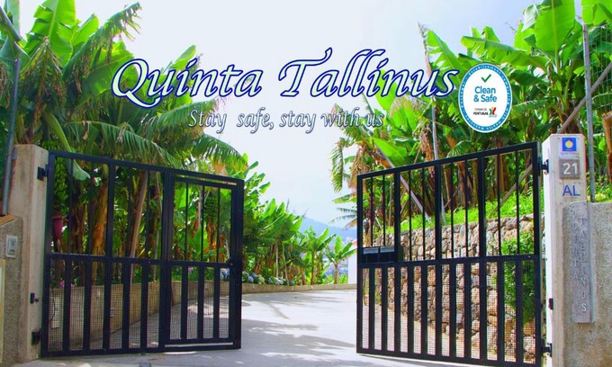 Santo Antonio Apartment | Quinta Tallinus
