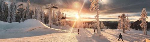 Idkerberget Apartment | Rämsbyns fritidsby, nära Romme Alpin