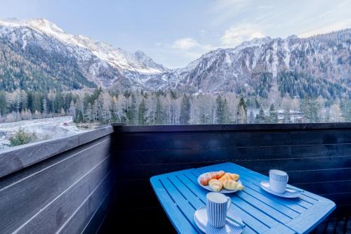 Argentiere Apartment | Résidence Grand Roc - Campanules 319 - Happy Rentals