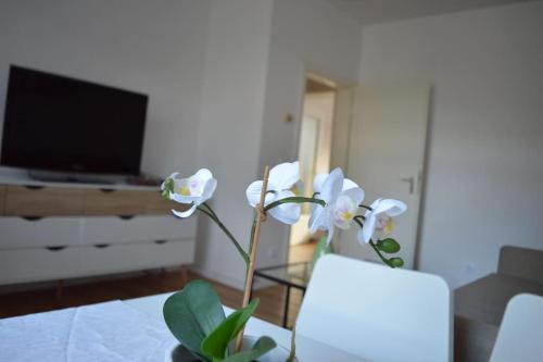 Suedviertel Apartment | Rüttenscheid, Messe, Uni, Central Station