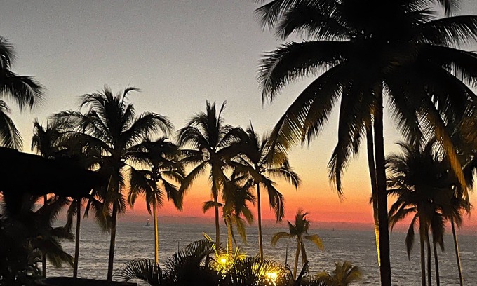 Diaz Ordaz Condo | Relax amidst the palms in a 1-bedroom oceanfront condo at Los Tules.