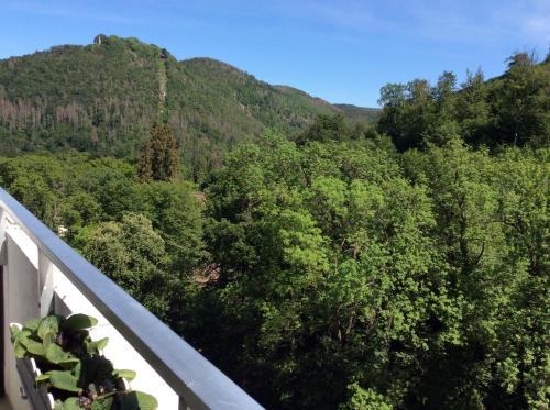 Bad Harzburg Apartment | Relax im Wald