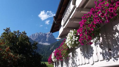 Sesto Apartment | Residence Alpenrose