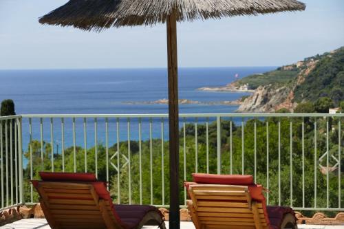 Cargese Apartment | Residenza l 'Alivetu