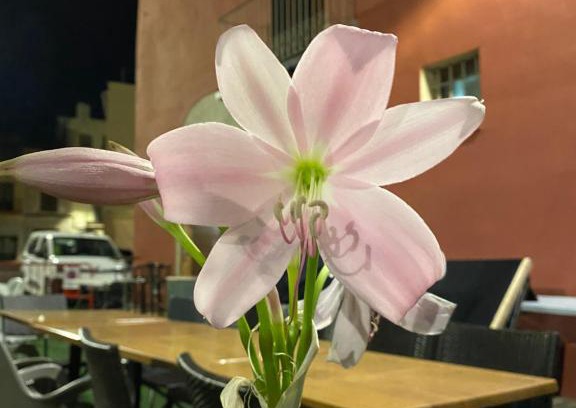 Sant Mateu House | Restaurant & Rooms Cabrit