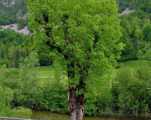 Bohinj Apartment | Riverside Village Apartment