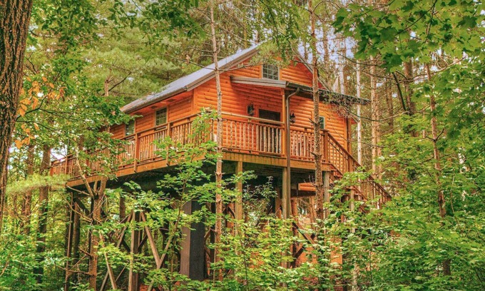 Millersburg Cabin | Romantic Treehouse Getaway with Treetop Views