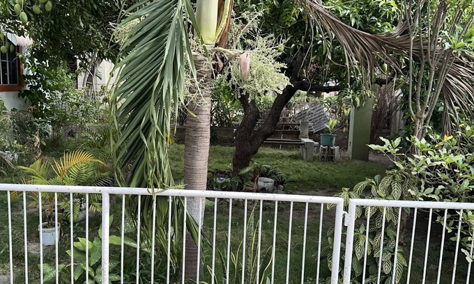 Kingston House | Room-charming Kingston Room to Rent With