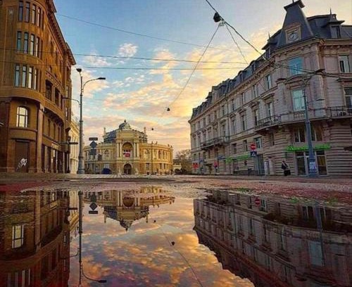 Odessa City Center Apartment | Rose d'Opera Hotel